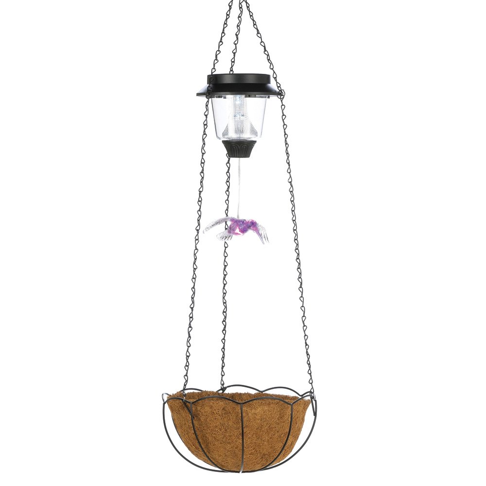 Solar h-bird hanging basket
