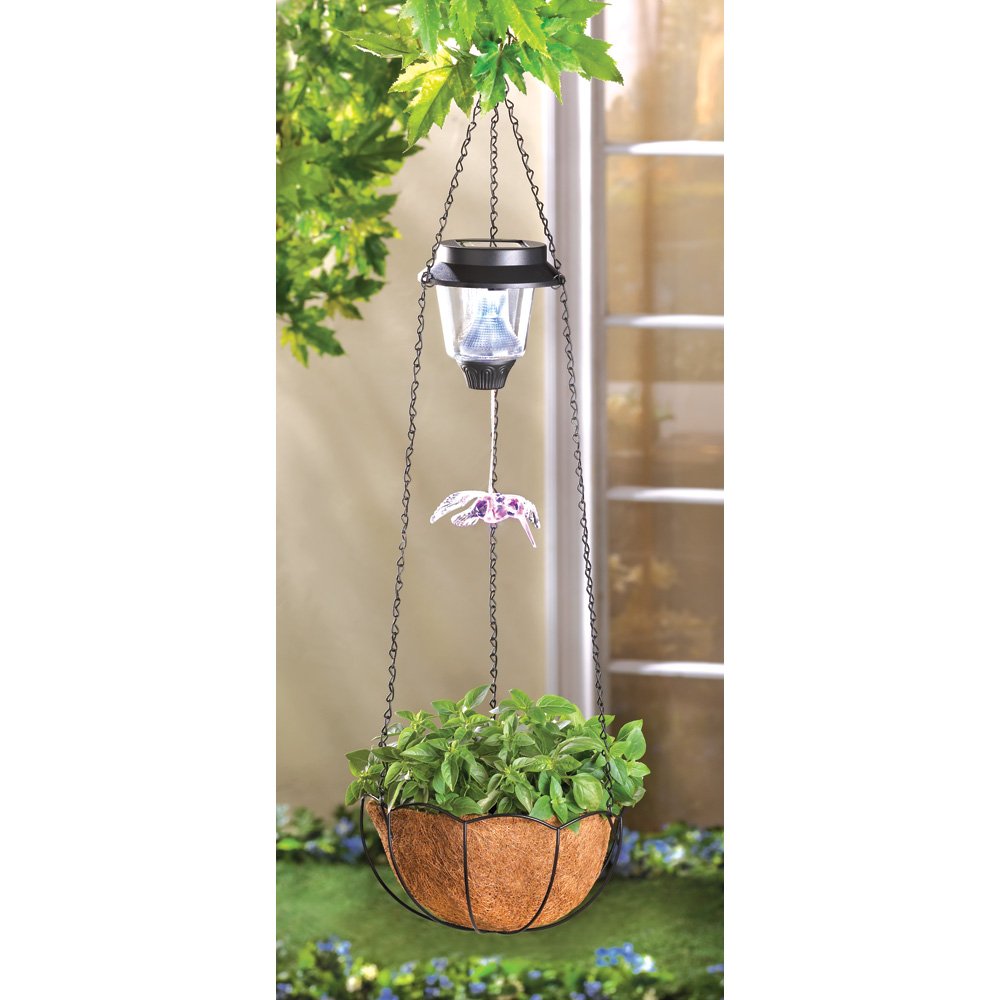 Solar h-bird hanging basket