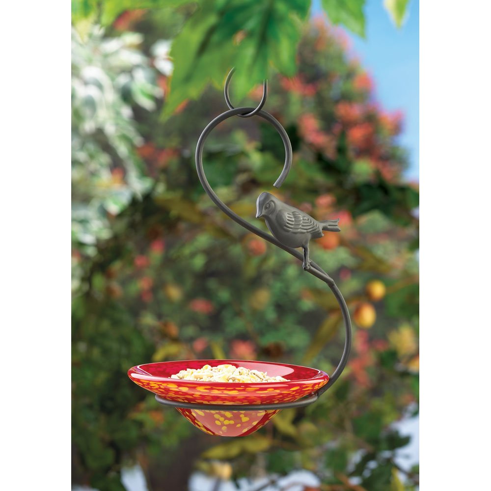 Orchard oriole bird feeder