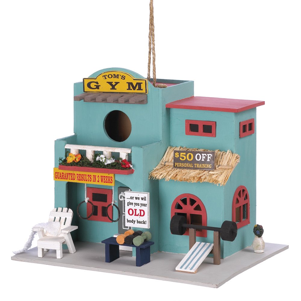 Workout gym birdhouse