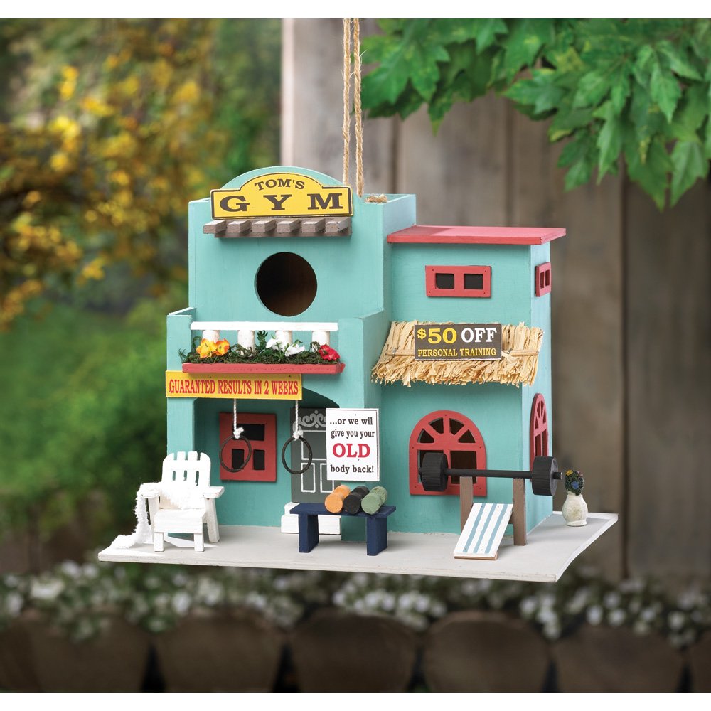 Workout gym birdhouse