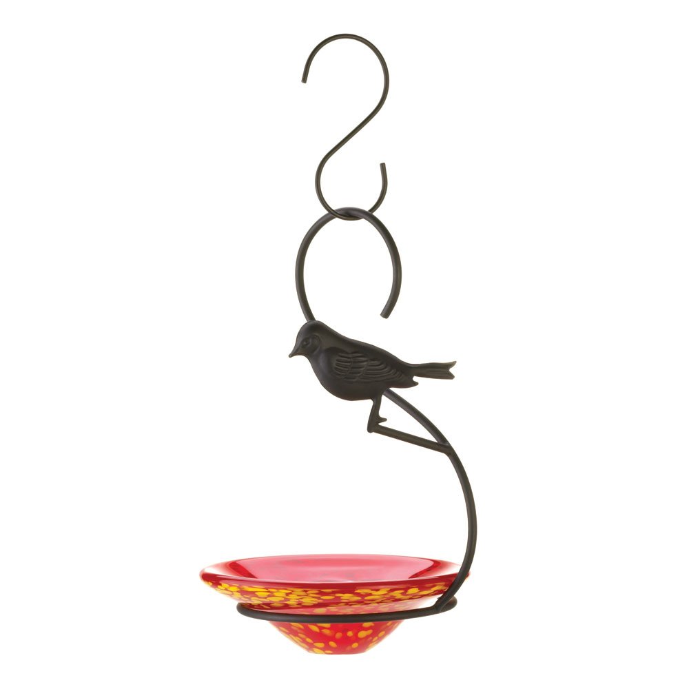 Orchard oriole bird feeder
