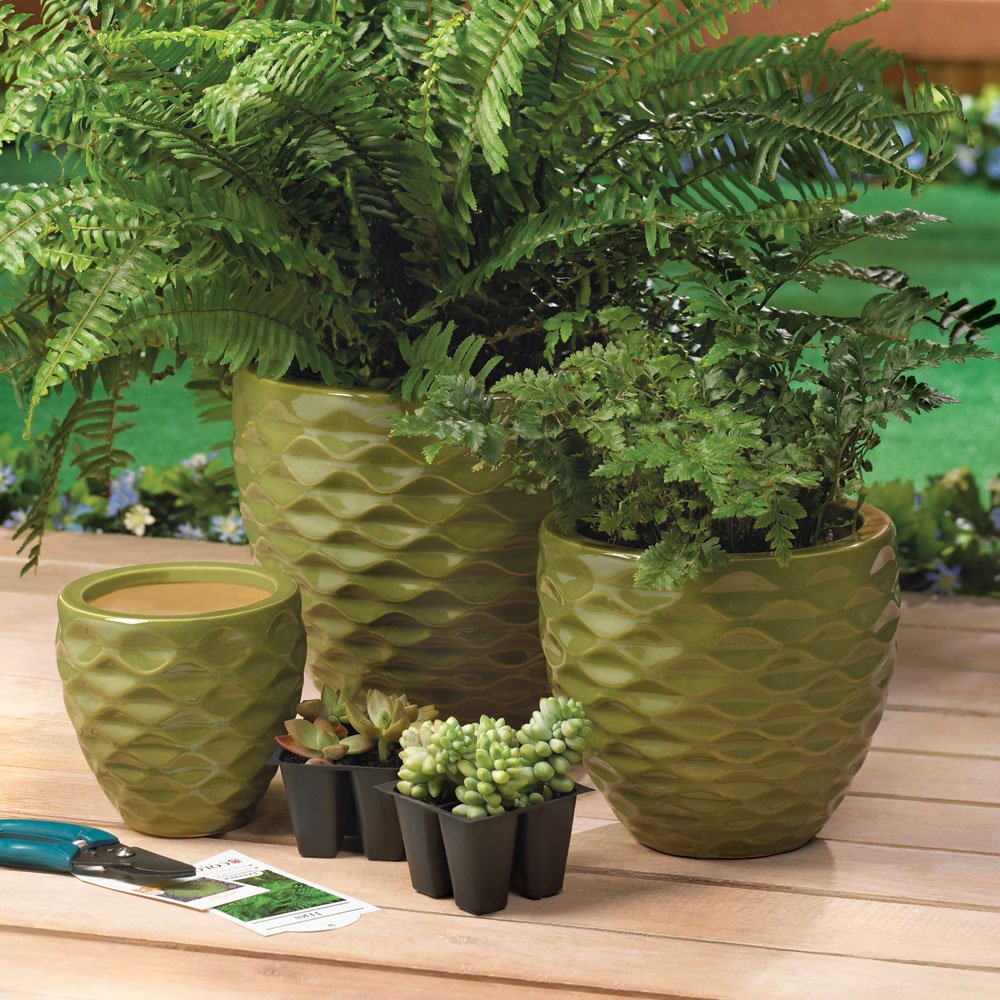 Green faceted plantern trio
